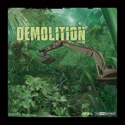 Demolition 10, the vinyl