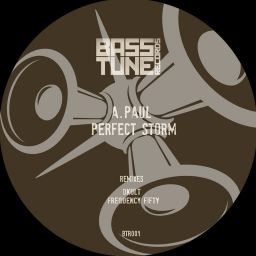 Perfect Storm EP