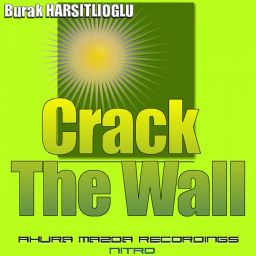 Crack The Wall