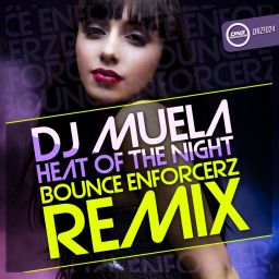 Heat Of The Night (Bounce Enforcerz Remix)