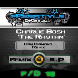 The Rhythm (Dan Diamond Remix)