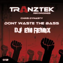 Don't Waste The Bass (DJ Em Remix)