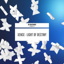 Light Of Destiny