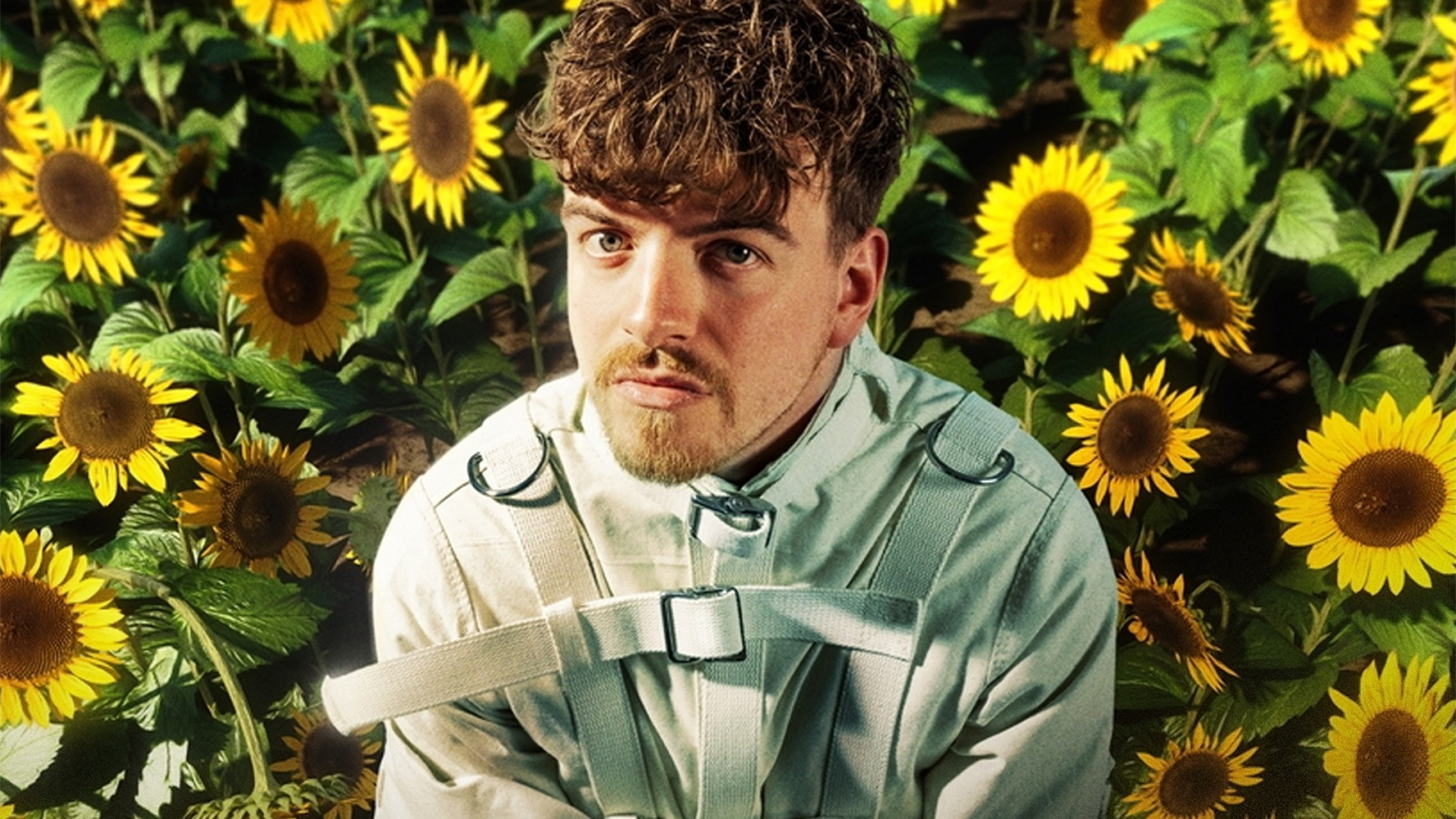 Vertile - Everything changes