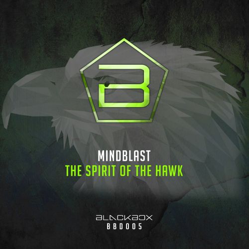 The Spirit Of The Hawk
